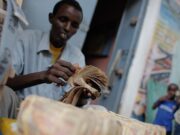 Hausse des prix des produits sur les marchés africains : Attention à la surenchère