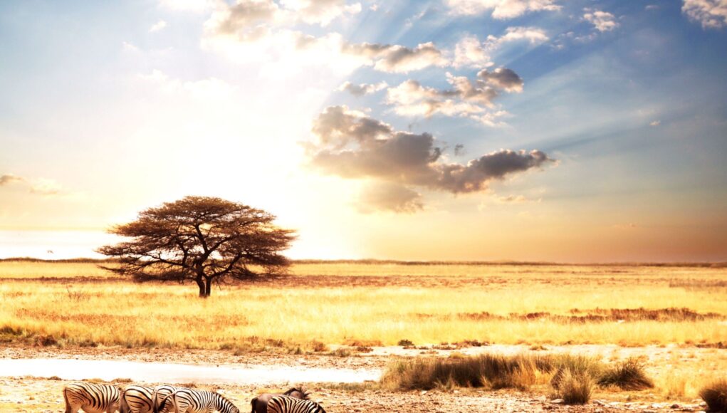 5c674d05b31d251004e1dc11d52068fa