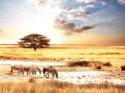 A la découverte des 10 pays les plus riches d’Afrique