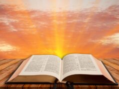 Saviez-vous que ces phrases du quotidien sont tirées de la Bible ?