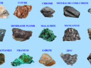 Minerais pillés à l’est de la RDC : Mise en demeure à Apple pour approvisionnement illégal